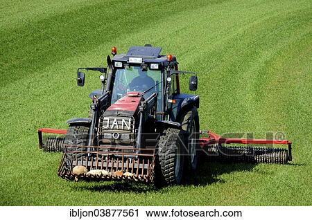 "Tractor with cambridge roller works on green fields at spring farming. Ruuthsbo, Scania, Sweden, Europe" View Large Photo Image Stock Image - "Tractor with cambridge roller works on green fields at spring farming. Ruuthsbo, Scania, Sweden, Europe". Fotosearch