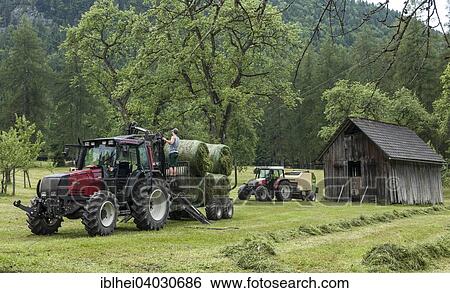 "Tractor with hay, hay harvest, Upper Austria, Austria, Europe" View Large Photo Image Stock Photograph - "Tractor with hay, hay harvest, Upper Austria, Austria, Europe". Fotosearch