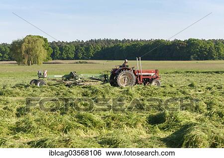 "Tractor with hay turning machine, farmer working in the fields, Gotzenhain, Dreieich, Hesse, Germany, Europe" View Large Photo Image Stock Photograph - "Tractor with hay turning machine, farmer working in the fields, Gotzenhain, Dreieich, Hesse, Germany, Europe". Fotosearch