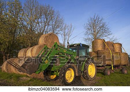 "Tractor with round straw bales on a field and on a trailer, Othenstorf, Mecklenburg-Western Pomerania, Germany, Europe" View Large Photo Image Picture - "Tractor with round straw bales on a field and on a trailer, Othenstorf, Mecklenburg-Western Pomerania, Germany, Europe". Fotosearch