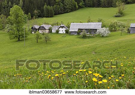 "Traditional Austrian farmhouses, Schaidasattel pass, Karawanks, Zell-Schaida, Carinthia, Austria, Europe" View Large Photo Image Stock Photo - "Traditional Austrian farmhouses, Schaidasattel pass, Karawanks, Zell-Schaida, Carinthia, Austria, Europe". Fotosearch