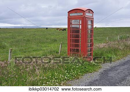 "Traditional British telephone box next to a cow pasture, Caithness County, Highland, Scotland, United Kingdom, Europe" View Large Photo Image Stock Image - "Traditional British telephone box next to a cow pasture, Caithness County, Highland, Scotland, United Kingdom, Europe". Fotosearch