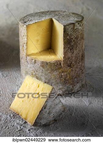 Traditional Farmhouse Cheddar cheese truckle View Large Photo Image Stock Photo - Traditional Farmhouse Cheddar cheese truckle. Fotosearch