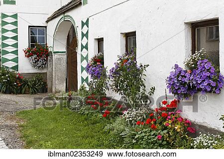 "Traditional farmhouse with flowers, Unterneudorf, Schlaegl, Muelhlviertel region, Upper Austria, Austria, Europe, PublicGround, Europe" View Large Photo Image Stock Photo - "Traditional farmhouse with flowers, Unterneudorf, Schlaegl, Muelhlviertel region, Upper Austria, Austria, Europe, PublicGround, Europe". Fotosearch