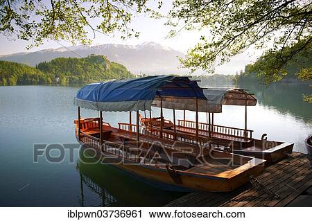 "Traditional flat-bottomed wooden boats, called pletna, on Lake Bled, Bled, Upper Carniola, Slovenia, Europe" View Large Photo Image Stock Image - "Traditional flat-bottomed wooden boats, called pletna, on Lake Bled, Bled, Upper Carniola, Slovenia, Europe". Fotosearch