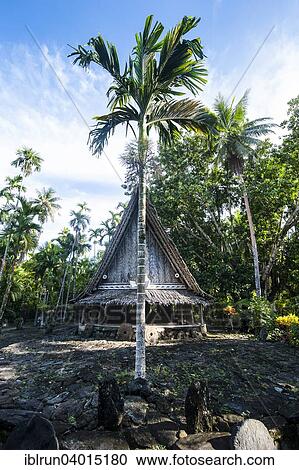 "Traditional house in a village, Yap Island, Caroline Islands, Micronesia, Oceania" View Large Photo Image Stock Image - "Traditional house in a village, Yap Island, Caroline Islands, Micronesia, Oceania". Fotosearch
