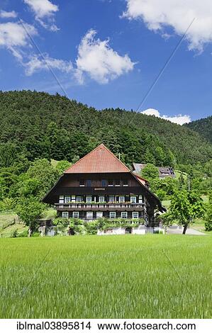 Picture - "Traditional house in the Gutachtal valley, Black Forest, Baden-Wurttemberg, Germany, Europe". Fotosearch