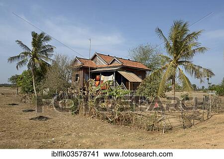 "Traditional house on stilts, surrounded by a garden with palm trees, Bathi District, Takeo Province, Cambodia, Asia" View Large Photo Image Stock Image - "Traditional house on stilts, surrounded by a garden with palm trees, Bathi District, Takeo Province, Cambodia, Asia". Fotosearch