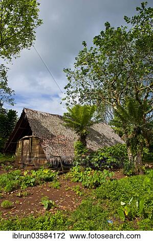"Traditional hut, Espiritu Santo, Sanma Province, Vanuatu, Oceania" View Large Photo Image Stock Image - "Traditional hut, Espiritu Santo, Sanma Province, Vanuatu, Oceania". Fotosearch
