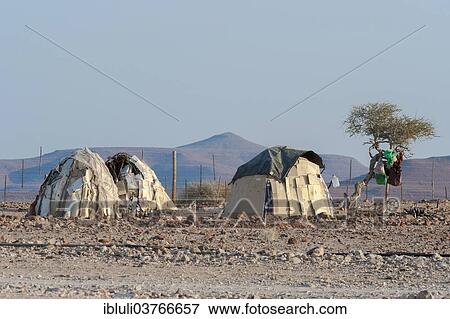"Traditional huts built from cardboard, Palmwag, Kunene Region, Namibia, Africa" View Large Photo Image Stock Photo - "Traditional huts built from cardboard, Palmwag, Kunene Region, Namibia, Africa". Fotosearch