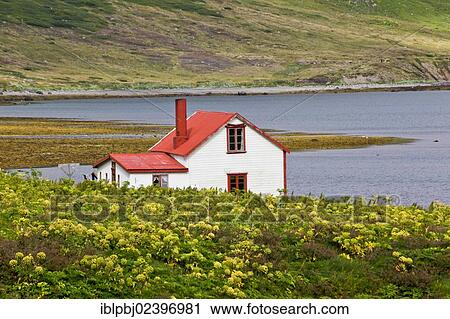 "Traditional Icelandic house, Hornstrandir, West Iceland, Iceland, Europe" View Large Photo Image Stock Image - "Traditional Icelandic house, Hornstrandir, West Iceland, Iceland, Europe". Fotosearch