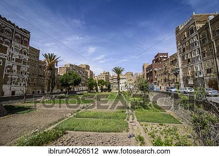 Stock Image - "Traditional old houses in the old city of Sana'a, UNESCO World Heritage Site, Sana'a, Yemen, Asia". Fotosearch