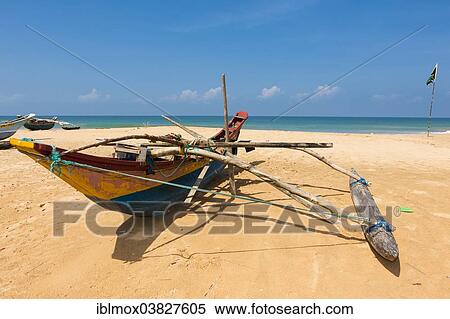 "Traditional outrigger boat on the beach, near Duwemodara, Galle Region, Southern Province, Sri Lanka, Asia" View Large Photo Image Stock Photography - "Traditional outrigger boat on the beach, near Duwemodara, Galle Region, Southern Province, Sri Lanka, Asia". Fotosearch