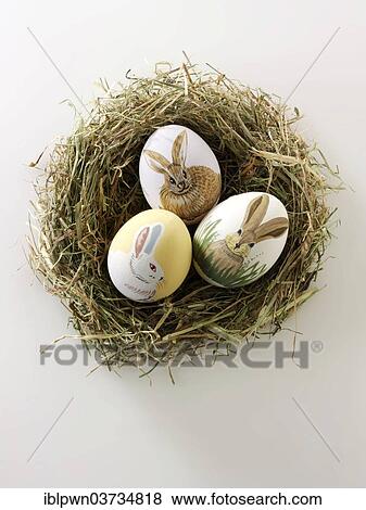Traditional painted Easter eggs in a birds nest View Large Photo Image Stock Photo - Traditional painted Easter eggs in a birds nest. Fotosearch