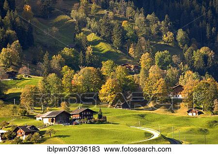 Stock Image - "Traditional Swiss houses in autumn landscape, Grindelwald, Canton of Bern, Switzerland, Europe". Fotosearch