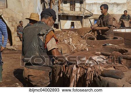 "Traditional tannery with dying vats, The Chouwara, Chouara, Old Town, Medina, Fez, Fes, Fez el Bali, Morocco, Africa" View Large Photo Image Stock Image - "Traditional tannery with dying vats, The Chouwara, Chouara, Old Town, Medina, Fez, Fes, Fez el Bali, Morocco, Africa". Fotosearch