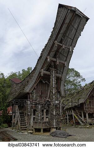 "Traditional Tongkonan storage house, village of Palawa, Rantepao, Sulawesi Selatan, Indonesia, Asia" View Large Photo Image Stock Image - "Traditional Tongkonan storage house, village of Palawa, Rantepao, Sulawesi Selatan, Indonesia, Asia". Fotosearch