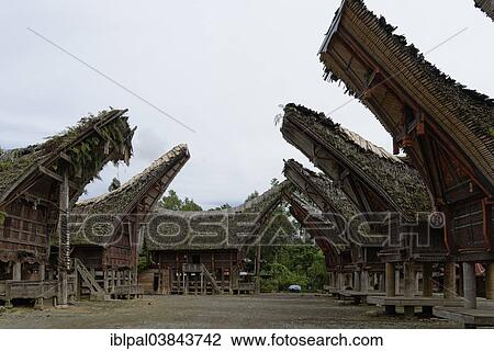 "Traditional Tongkonan storage houses, village of Palawa, Rantepao, Sulawesi Selatan, Indonesia, Asia" View Large Photo Image Stock Image - "Traditional Tongkonan storage houses, village of Palawa, Rantepao, Sulawesi Selatan, Indonesia, Asia". Fotosearch