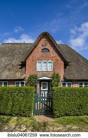 "Traditionally thatched Frisian house, village of Nebel, Amrum, North Frisian Islands, North Frisia, Schleswig-Holstein, Germany, Europe" View Large Photo Image Stock Photo - "Traditionally thatched Frisian house, village of Nebel, Amrum, North Frisian Islands, North Frisia, Schleswig-Holstein, Germany, Europe". Fotosearch
