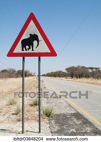 "Traffic sign warning of crossing elephants at the B8 at its section through the Bwabwata National Park in the Caprivi strip, Caprivi region, Namibia, Africa" View Large Photo Image Picture - "Traffic sign warning of crossing elephants at the B8 at its section through the Bwabwata National Park in the Caprivi strip, Caprivi region, Namibia, Africa". Fotosearch