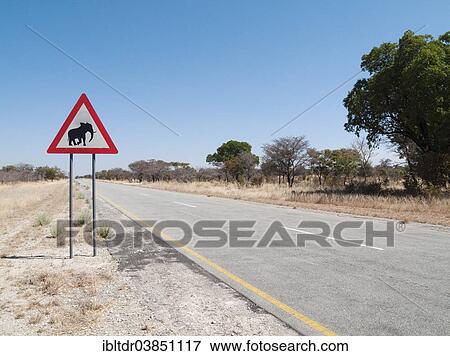 "Traffic sign warning of crossing elephants at the B8 at its section through the Bwabwata National Park in the Caprivi strip, Caprivi region, Namibia, Africa" View Large Photo Image Stock Photo - "Traffic sign warning of crossing elephants at the B8 at its section through the Bwabwata National Park in the Caprivi strip, Caprivi region, Namibia, Africa". Fotosearch