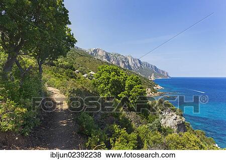 "Trail at the foot of the Su Golgo plateau near Santa Maria Navarese, Baunei, Ogliastra province, Sardinia, Italy, Europe" View Large Photo Image Stock Photo - "Trail at the foot of the Su Golgo plateau near Santa Maria Navarese, Baunei, Ogliastra province, Sardinia, Italy, Europe". Fotosearch