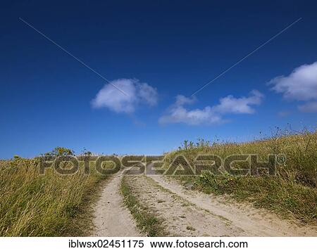 Stock Photography - "Trail through a vegetated sand dune, France, Europe". Fotosearch