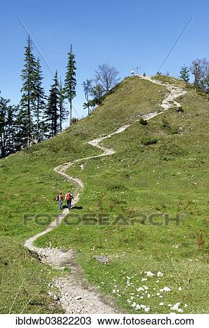 "Trail to the peak of Spitzen Stein on the Brundling Alm, Hochfelln, Bergen, Chiemgau Alps, Upper Bavaria, Bavaria, Germany, Europe" View Large Photo Image Stock Image - "Trail to the peak of Spitzen Stein on the Brundling Alm, Hochfelln, Bergen, Chiemgau Alps, Upper Bavaria, Bavaria, Germany, Europe". Fotosearch