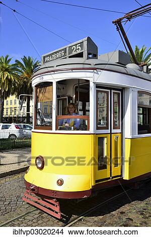 "Tram 25, Electrico tram, female tram driver, Lisbon, Portugal, Europe" View Large Photo Image Picture - "Tram 25, Electrico tram, female tram driver, Lisbon, Portugal, Europe". Fotosearch