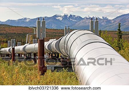 "Trans-Alaska Pipeline, Fairbanks, Alaska, USA" View Large Photo Image Stock Photograph - "Trans-Alaska Pipeline, Fairbanks, Alaska, USA". Fotosearch