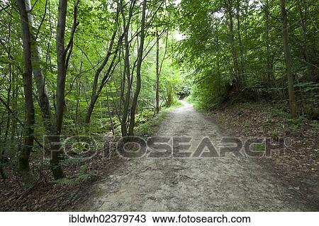 "Traumpfade, dream path, hiking trail in Elzbachtal, Eifel, Rhineland-Palatinate, Germany, Europe, PublicGround, Europe" View Large Photo Image Stock Image - "Traumpfade, dream path, hiking trail in Elzbachtal, Eifel, Rhineland-Palatinate, Germany, Europe, PublicGround, Europe". Fotosearch