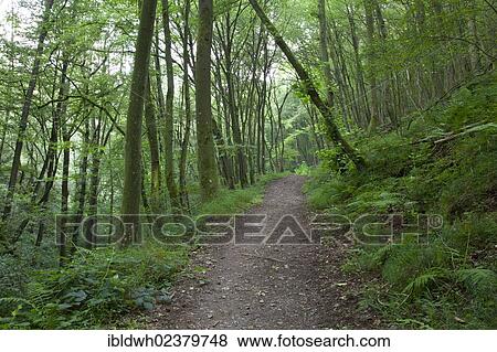 "Traumpfade, dream path, hiking trail in Elzbachtal, Eifel, Rhineland-Palatinate, Germany, Europe, PublicGround, Europe" View Large Photo Image Stock Photo - "Traumpfade, dream path, hiking trail in Elzbachtal, Eifel, Rhineland-Palatinate, Germany, Europe, PublicGround, Europe". Fotosearch