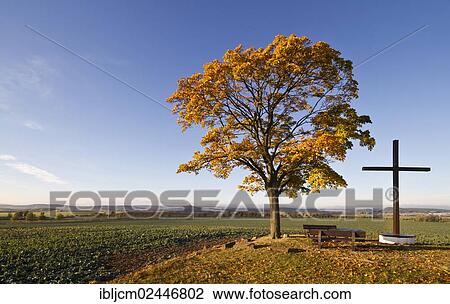 "Tree, benches and a cross, in autumn, Veste Wachsenburg fortress at back, Thuringen, Wandersleben, Thuringia, Germany, Europe" View Large Photo Image Stock Image - "Tree, benches and a cross, in autumn, Veste Wachsenburg fortress at back, Thuringen, Wandersleben, Thuringia, Germany, Europe". Fotosearch