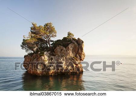 "Tree growing on a rock in the sea, near Brela, Makarska Riviera, Adriatic coast, Adriatic Sea, Dalmatia, Croatia, Europe" View Large Photo Image Stock Photography - "Tree growing on a rock in the sea, near Brela, Makarska Riviera, Adriatic coast, Adriatic Sea, Dalmatia, Croatia, Europe". Fotosearch