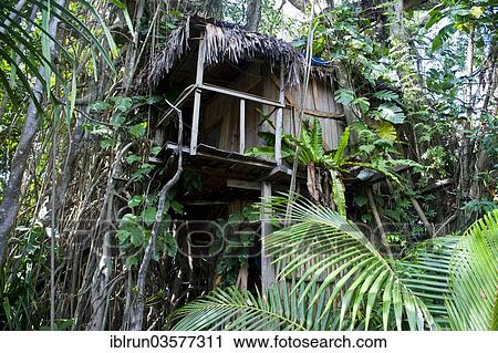 Stock Image - "Tree house in a Banyan tree, Tanna, Vanuatu, Oceania". Fotosearch