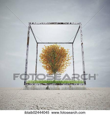 Stock Photography - "Tree in a glass box, symbolic image for the protection of the environment, 3D illustration". Fotosearch