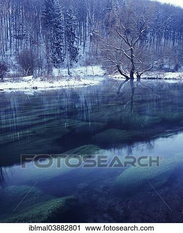 "Tree reflected in the Brenz River, Eselsburger Valley, near Herbrechtingen, Swabian Jura, Baden-Wurttemberg, Germany, Europe" View Large Photo Image Stock Image - "Tree reflected in the Brenz River, Eselsburger Valley, near Herbrechtingen, Swabian Jura, Baden-Wurttemberg, Germany, Europe". Fotosearch