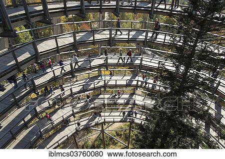 "Tree tower, Tree Top Walk, Bavarian Forest National Park, Neuschonau, Bavaria, Germany, Europe" View Large Photo Image Stock Image - "Tree tower, Tree Top Walk, Bavarian Forest National Park, Neuschonau, Bavaria, Germany, Europe". Fotosearch