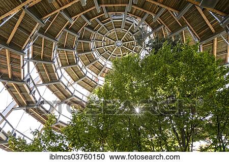 "Tree tower, Tree Top Walk, Bavarian Forest National Park, Neuschonau, Bavaria, Germany, Europe" View Large Photo Image Stock Image - "Tree tower, Tree Top Walk, Bavarian Forest National Park, Neuschonau, Bavaria, Germany, Europe". Fotosearch
