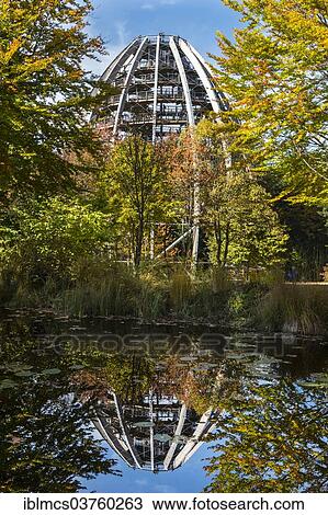 "Tree tower, Tree Top Walk, Bavarian Forest National Park, Neuschonau, Bavaria, Germany, Europe" View Large Photo Image Stock Image - "Tree tower, Tree Top Walk, Bavarian Forest National Park, Neuschonau, Bavaria, Germany, Europe". Fotosearch
