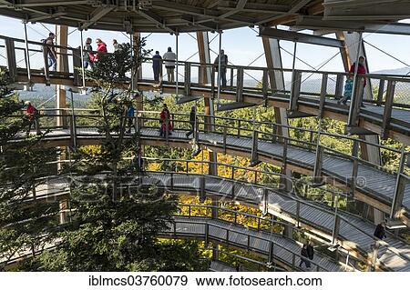 "Tree tower, Tree Top Walk, Bavarian Forest National Park, Neuschonau, Bavaria, Germany, Europe" View Large Photo Image Stock Photo - "Tree tower, Tree Top Walk, Bavarian Forest National Park, Neuschonau, Bavaria, Germany, Europe". Fotosearch