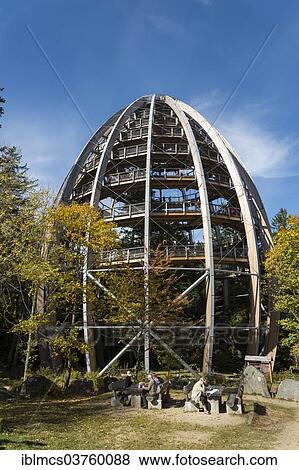 "Tree tower, Tree Top Walk, Bavarian Forest National Park, Neuschonau, Bavaria, Germany, Europe" View Large Photo Image Stock Photo - "Tree tower, Tree Top Walk, Bavarian Forest National Park, Neuschonau, Bavaria, Germany, Europe". Fotosearch