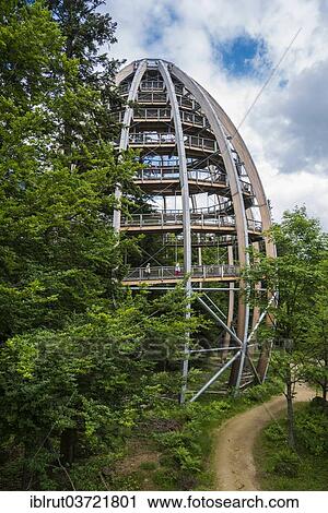 "Tree tower, tree-top walkway, Bavarian Forest National Park, Neuschonau, Bavaria, Germany, Europe" View Large Photo Image Stock Image - "Tree tower, tree-top walkway, Bavarian Forest National Park, Neuschonau, Bavaria, Germany, Europe". Fotosearch
