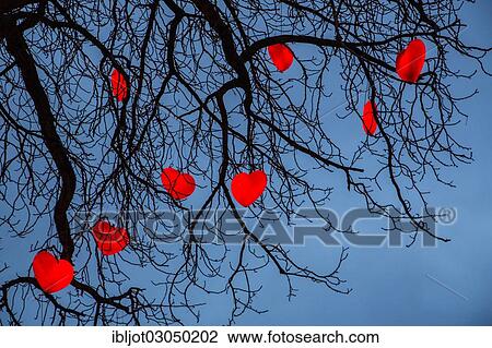 Stock Image - "Tree with illuminated red hearts, Christmas decoration in Tivoli Gardens amusement park, city centre, Copenhagen, Capital Region of Denmark, Denmark, Europe". Fotosearch