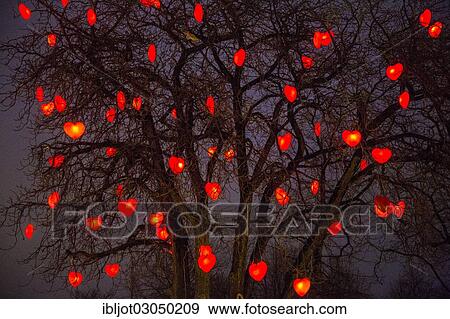 "Tree with illuminated red hearts, Christmas decoration in Tivoli Gardens amusement park, city centre, Copenhagen, Capital Region of Denmark, Denmark, Europe" View Large Photo Image Stock Photo - "Tree with illuminated red hearts, Christmas decoration in Tivoli Gardens amusement park, city centre, Copenhagen, Capital Region of Denmark, Denmark, Europe". Fotosearch