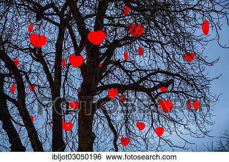"Tree with illuminated red hearts, Christmas decoration in Tivoli Gardens amusement park, city centre, Copenhagen, Capital Region of Denmark, Denmark, Europe" View Large Photo Image Stock Photograph - "Tree with illuminated red hearts, Christmas decoration in Tivoli Gardens amusement park, city centre, Copenhagen, Capital Region of Denmark, Denmark, Europe". Fotosearch