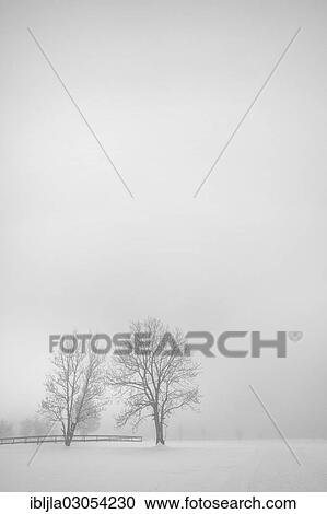 "Trees and fog in snow landscape, Werfenweng, Salzburg State, Austria, Europe" View Large Photo Image Stock Image - "Trees and fog in snow landscape, Werfenweng, Salzburg State, Austria, Europe". Fotosearch
