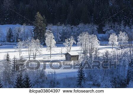 Stock Photo - "Trees covered in hoarfrost in Gschnitztal Valley, Tyrol, Austria, Europe". Fotosearch