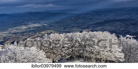 Stock Photo - "Trees covered in hoarfrost, Monte Catria, Apennines, Marche, Italy, Europe". Fotosearch