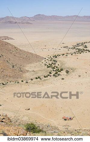 Picture - "Trees growing in a riverbed that winds through the Namib Desert, Aus, Karas, Namibia, Africa". Fotosearch